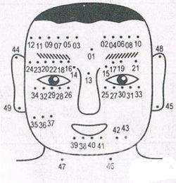 面相中的十大有福痣,女人哪些痣是福痣