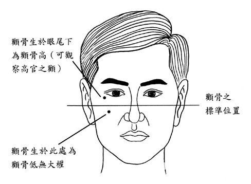 颧骨高面相图解,颧骨面相图解大全