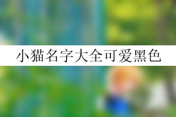 小猫名字大全可爱黑色