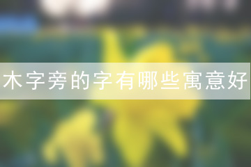 木字旁的字有哪些寓意好