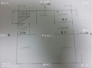 亥山巳向阳宅风水布局,亥山巳向阳宅最旺布局