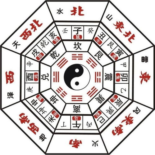 癸水八字,八字十天干详解——癸水