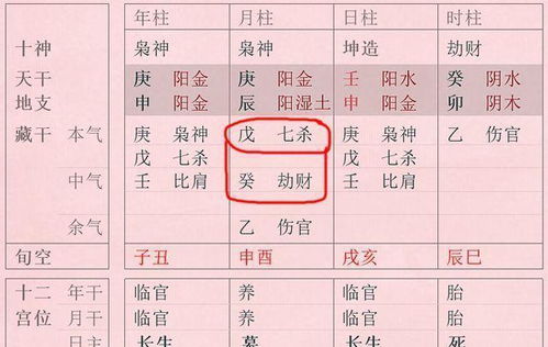 名人八字解析,名字测算八字免费