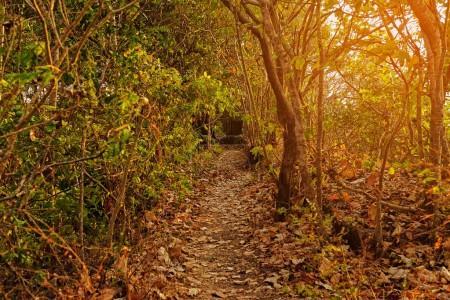 中国风水开山鼻祖,风水的开山鼻祖是谁