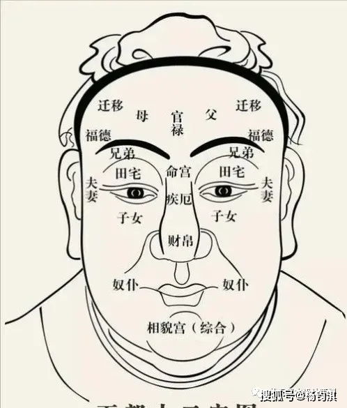 面相如何分析,面相怎么分析