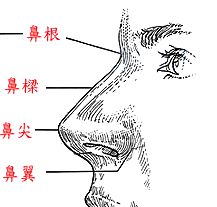 面相金甲,都说女人胖了有财运